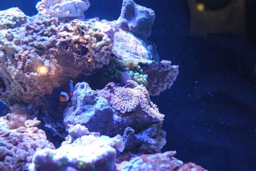 DSC_0115.JPG