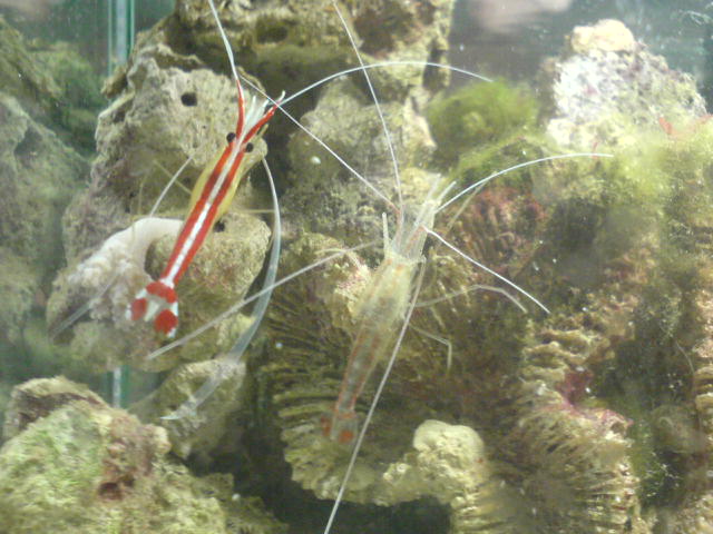 DSC00119.JPG