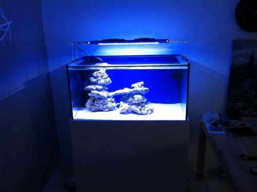 Akvariet med zetlight 6600 - der skal placeres Atoll søjler til højre!