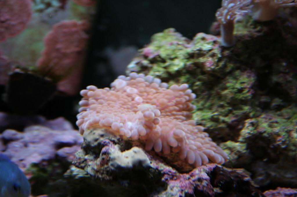 IMG_6602.JPG